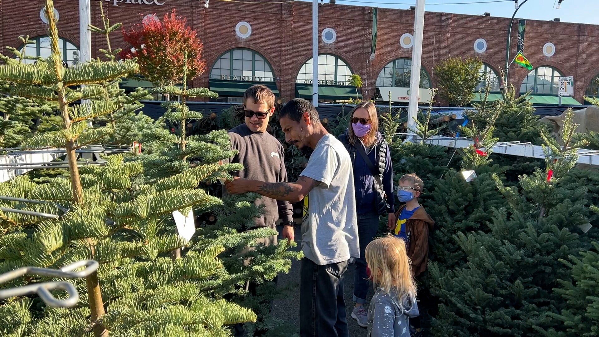 Christmas Tree Shortage